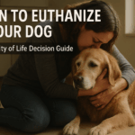 Pet owner embracing elderly golden retriever in vet office making difficult euthanasia decision with quality of life assessment guide